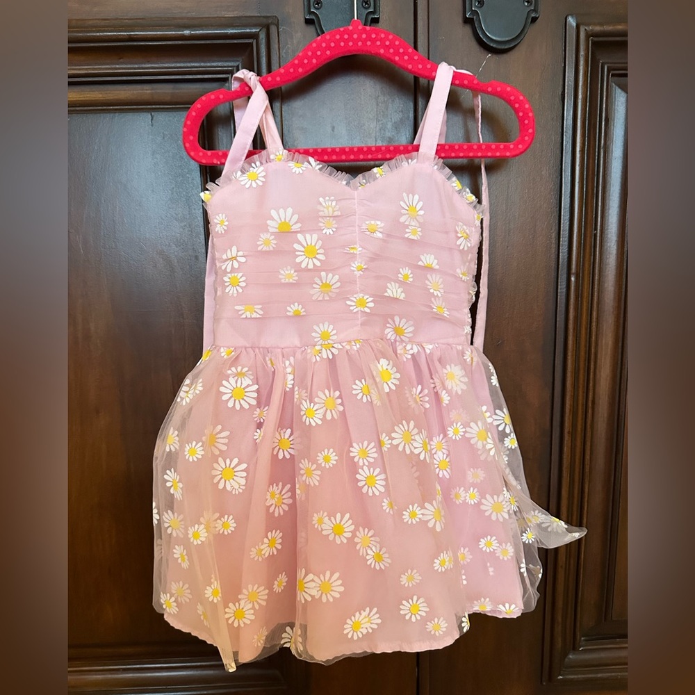 Lu and Ro Pink Daisy Dress